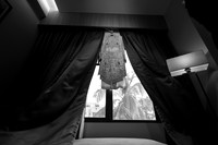ARK_ (39)