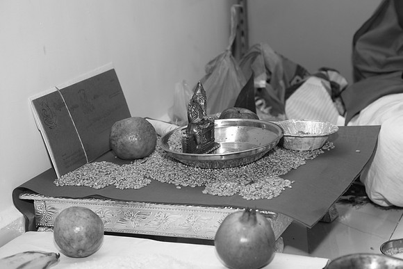 IMG_0253