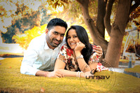 SAI_6705 copy
