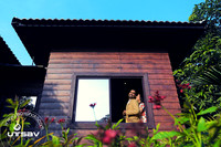 SAI_6619 copy