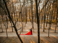 DJI_0060