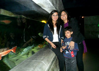 SAM_1386