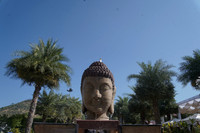 DSC  W (18)