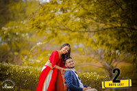 POOJA & CHINTAN- DAYS TO GO