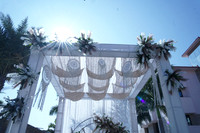 DSC  W (3)
