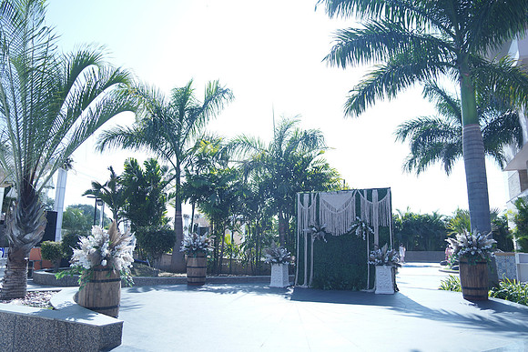 DSC  W (4)