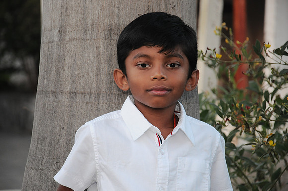 UPS_3463