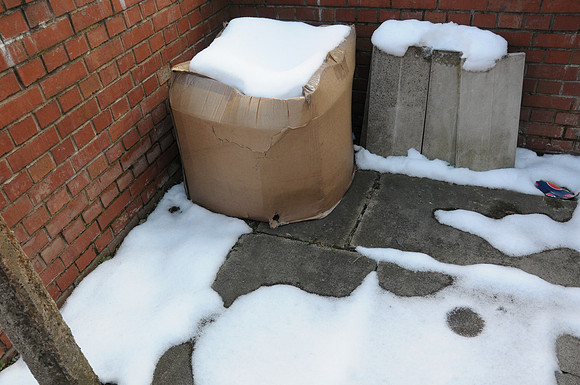 UPS_4950