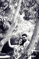 SAI_6553 copy