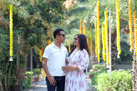ARK_ (16)