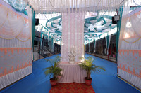 ARK_P_ (4)