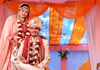 Ankit 002 14X40--50